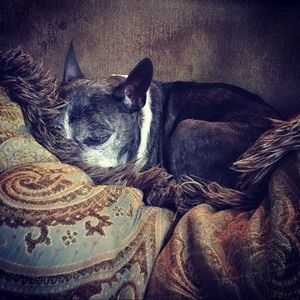 Meet your Posher, Colleen